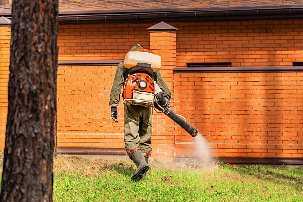 Trusted Ant Control service in Green Oaks, IL - Nex Pest Control